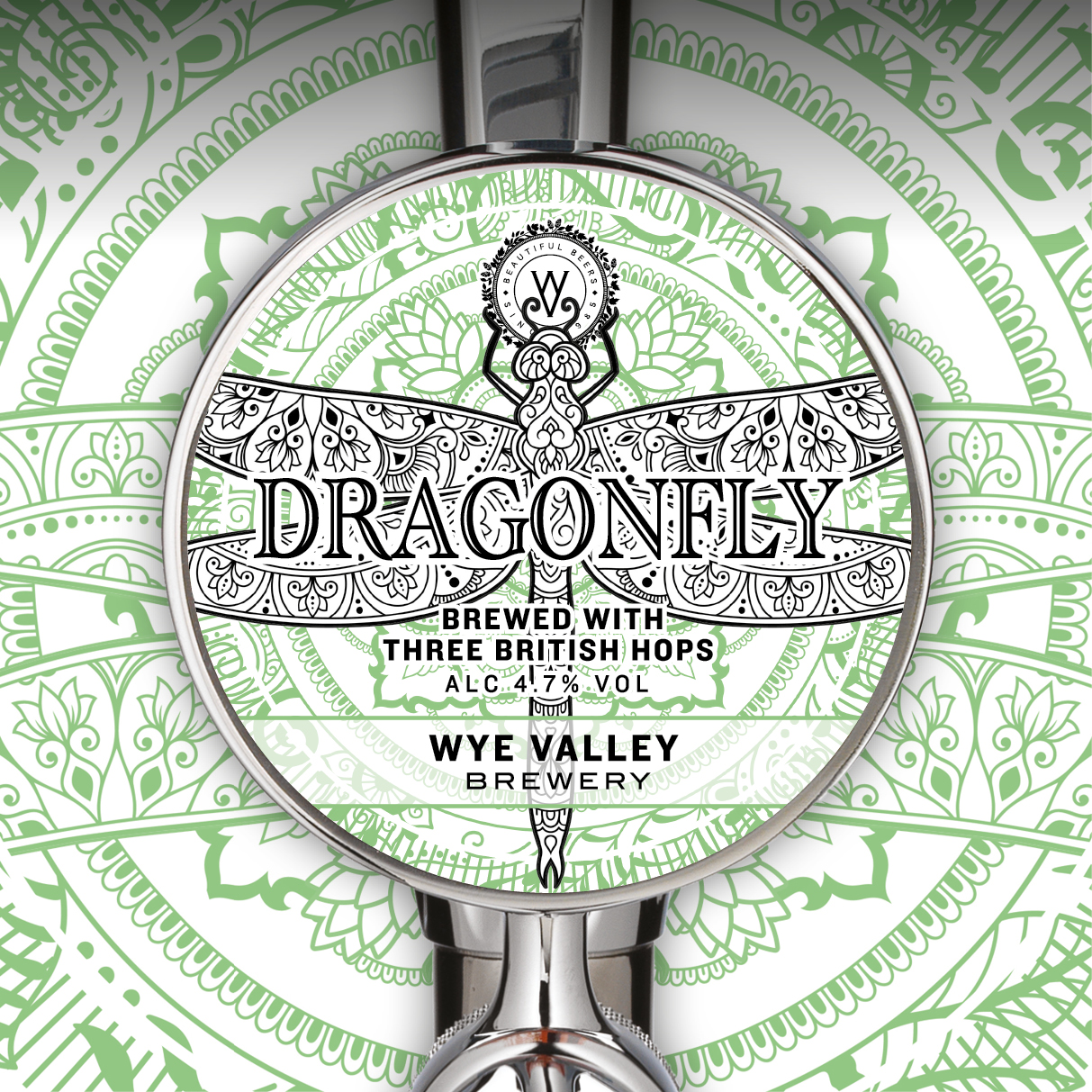 2023-Jul-Aug-Dragonfly