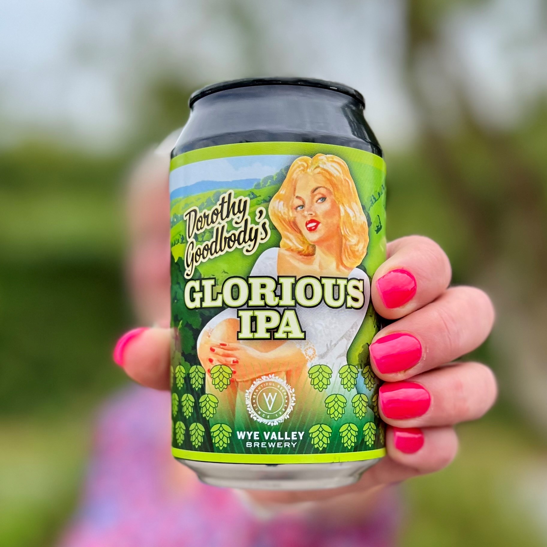 Image of 12 x 330ml Glorious IPA Cans