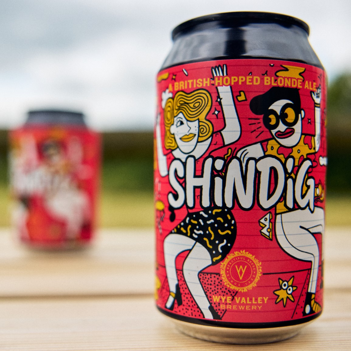 Image of 12x330ml Shindig Cans