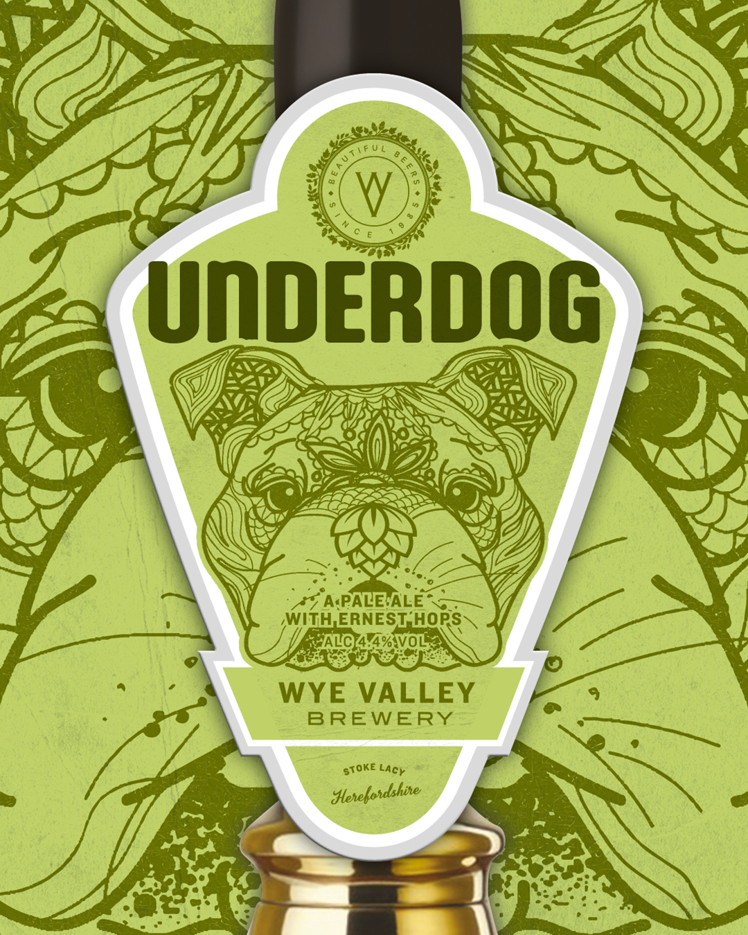 2026 - 05 - Underdog