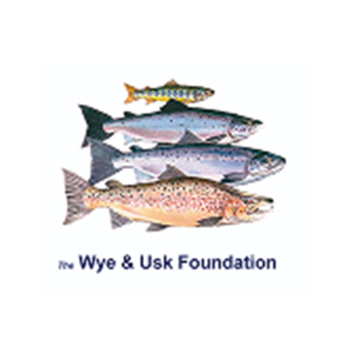 THE WYE AND USK FOUNDATION