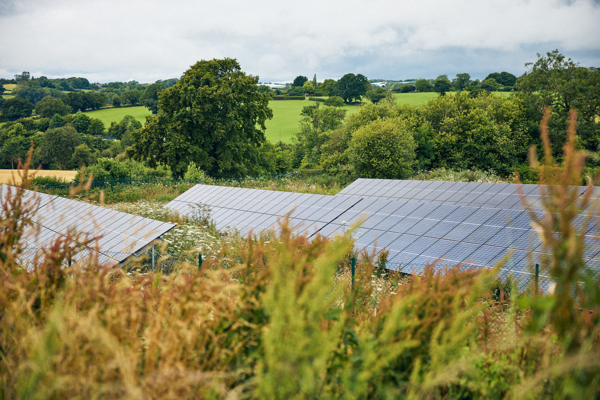 environmentally conscious.jpg