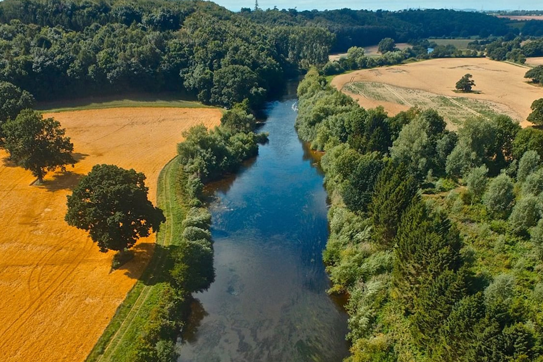 river-from-above.jpg