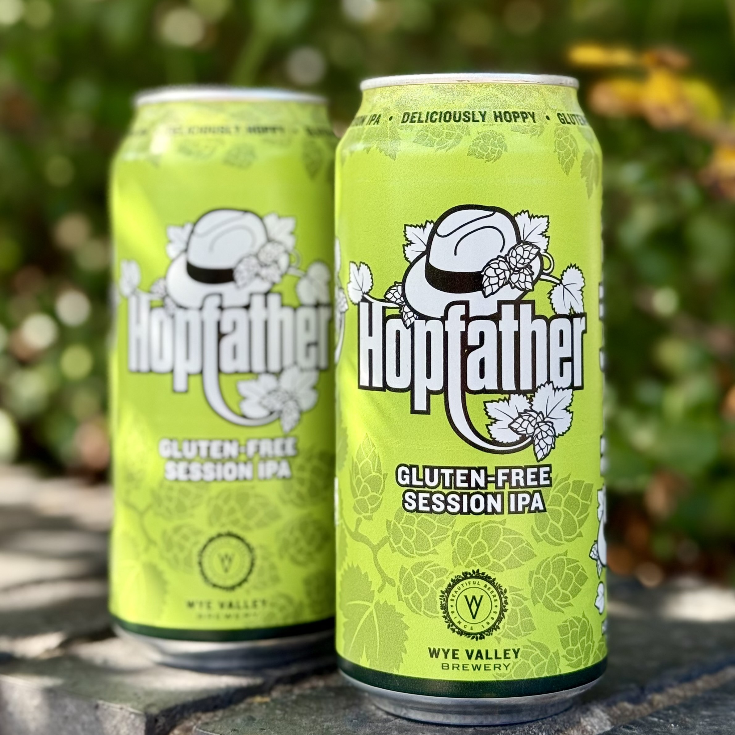 Image of 12x440ml Hopfather Cans